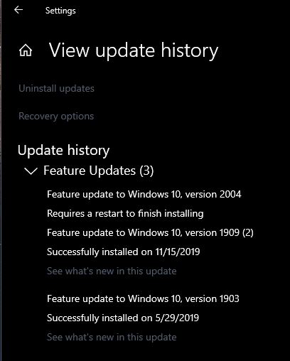 How to get the Windows 10 May 2020 Update version 2004-capture-copy.jpg