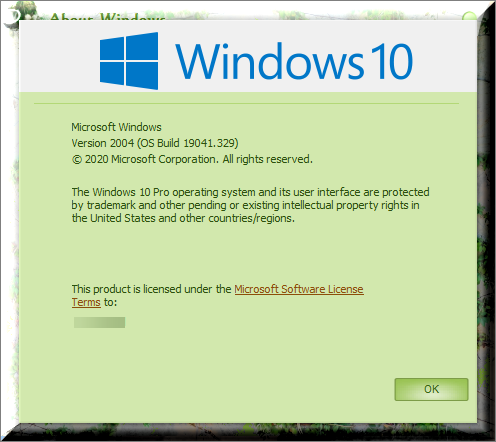 KB4557957 Cumulative Update Windows 10 v2004 build 19041.329 - June 9-winver-after-installing-kb4557957.png