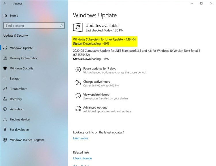 Windows 10 Insider Preview Fast Build 19645.1 (mn_release) - June 10-wsl_windows_update.jpg