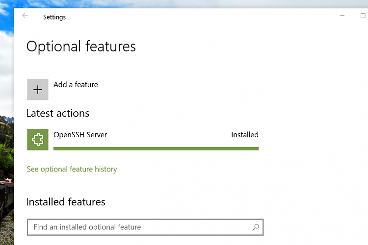 Windows 10 Insider Preview Build 20150.1000 (rs_prerelease) June 17-sshd.png
