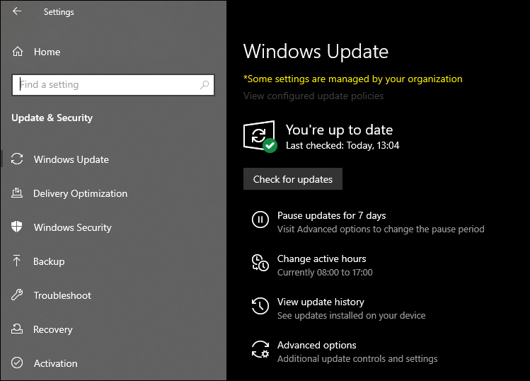 How to get the Windows 10 May 2020 Update version 2004-win-10-win-update-no-2004.png