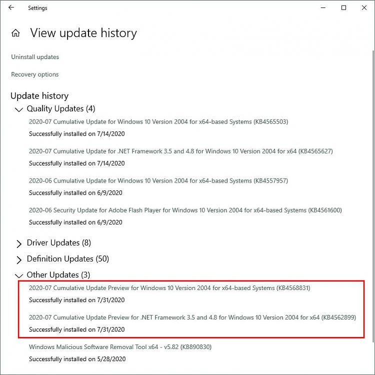 KB4568831 Cumulative Update Windows 10 v2004 build 19041.423 - July 31-otherupdates.jpg