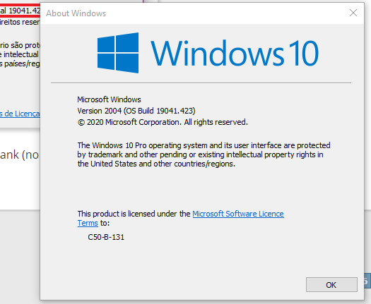 KB4568831 Cumulative Update Windows 10 v2004 build 19041.423 - July 31-screenshot_10.png