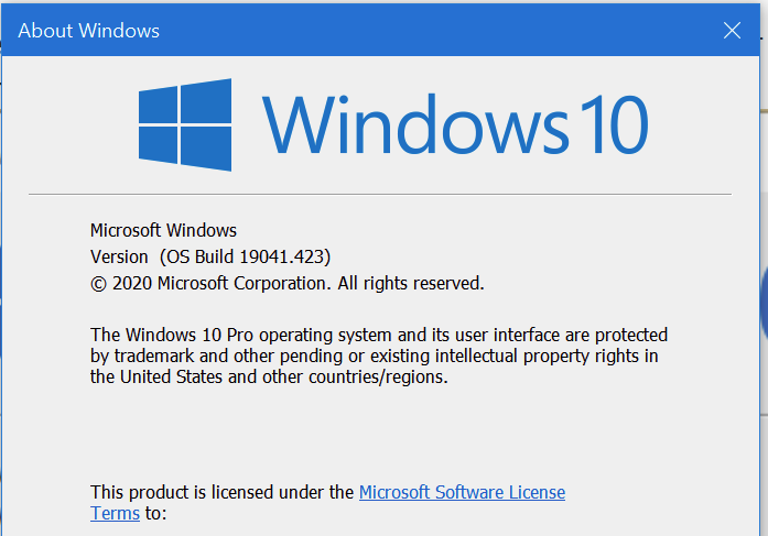 KB4568831 Cumulative Update Windows 10 v2004 build 19041.423 - July 31-image.png