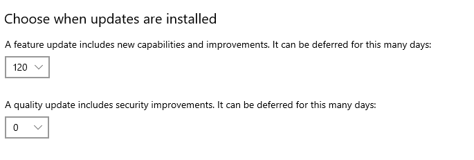 How to get the Windows 10 May 2020 Update version 2004-image.png