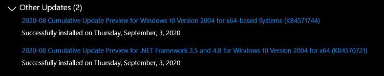 KB4571744 Cumulative Update Windows 10 v2004 build 19041.488 - Sept. 3-other-updates.jpg