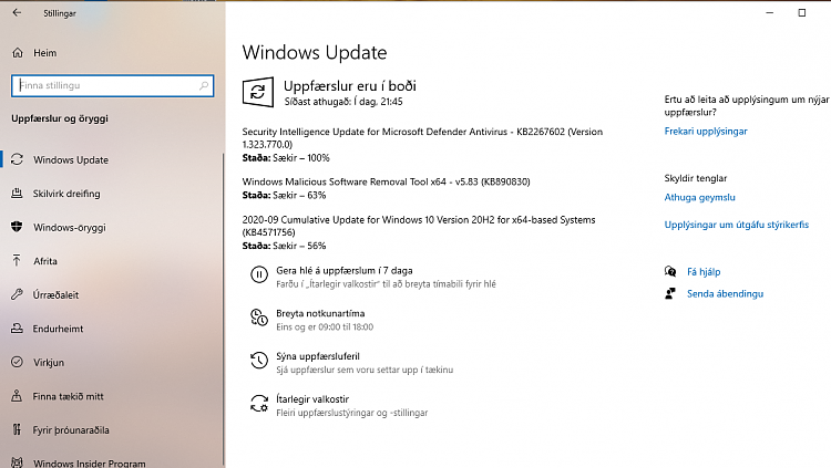 Windows 10 Insider Preview Beta Channel Build 19042.508 (20H2) Sept. 8-up1.png