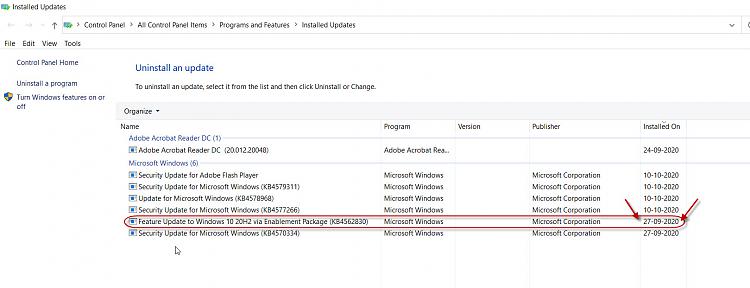 How to get the Windows 10 October 2020 Update version 20H2-28-10-2020-20-48-28.jpg