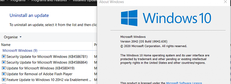 KB4586781 CU Windows 10 v2004 build 19041.630 and v20H2 19042.630-screenshot_4.png