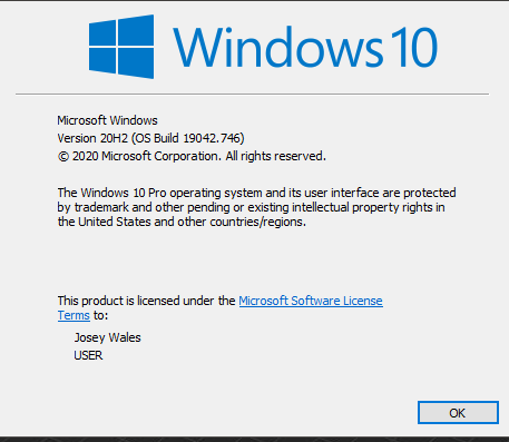 KB4598242 CU Windows 10 v2004 build 19041.746 and v20H2 19042.746-capture.png