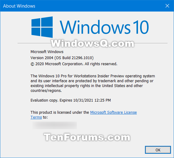KB4602812 CU Windows 10 Insider Preview Dev Build 21296.1010 - Jan. 25-winver.png