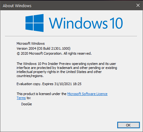 KB5000626 Windows 10 Insider Preview Dev Build 21301.1010 Feb. 1-21301.png