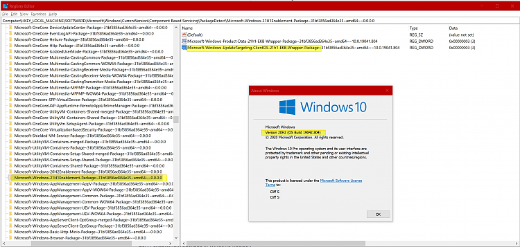 Microsoft provides details on Windows 10 version 21H1 release (WHCP)-image.png