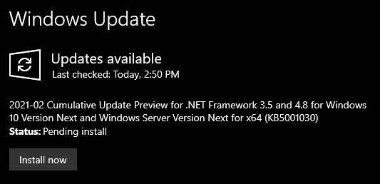 KB5001030 Cumulative Update .NET Framework 3.5 and 4.8 Windows 10 Next-image.png