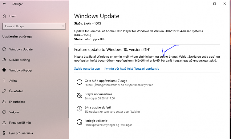 KB5000736 Windows 10 Insider Beta Channel Build 19043.844 (21H1)-feat1.png