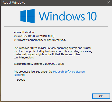Windows 10 Insider Preview Dev Build 21318 (RS_PRERELEASE) - Feb. 19-21318.png
