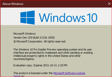 Windows 10 Insider Preview Dev Build 21318 (RS_PRERELEASE) - Feb. 19-insider-preview-21318.1000.png
