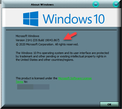 KB5000802 Windows 10 Insider Beta Channel Build 19043.867 (21H1)-winver-after-installing-kb5000802.png