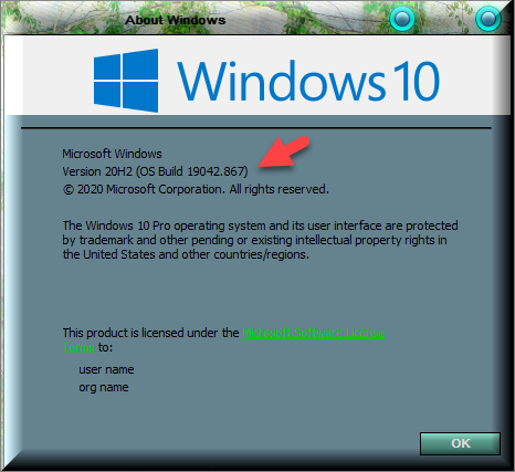 KB5000802 CU Windows 10 v2004 build 19041.867 and v20H2 19042.867-winver-after-installing-kb5000802.png