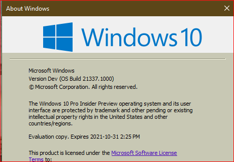 KB5001618 Windows 10 Insider Preview Dev Build 21337.1010 - March 19-insider-preview-21337.1010.png