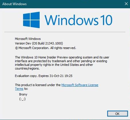 Windows 10 Insider Preview Dev Build 21343 (RS_PRERELEASE) - March 24-capture_03242021_184041.jpg