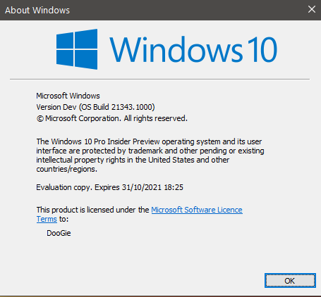Windows 10 Insider Preview Dev Build 21343 (RS_PRERELEASE) - March 24-21343.png