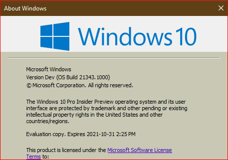 Windows 10 Insider Preview Dev Build 21343 (RS_PRERELEASE) - March 24-insider-preview-21343.1000.png
