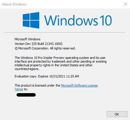 Windows 10 Insider Preview Dev Build 21343 (RS_PRERELEASE) - March 24-image.png