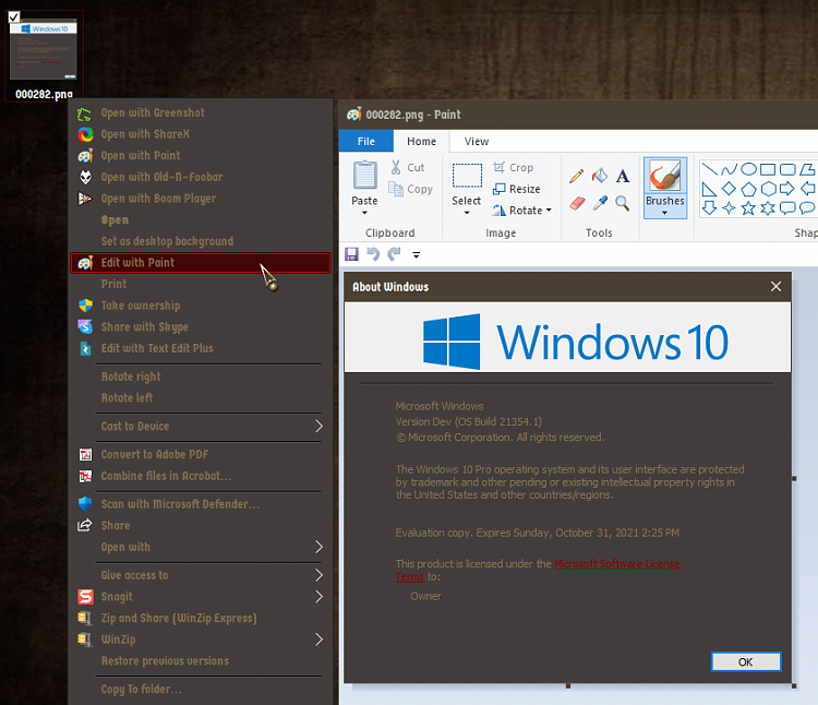 Windows 10 Insider Preview Dev Build 21354.1 (co_release) - April 7-000283.png