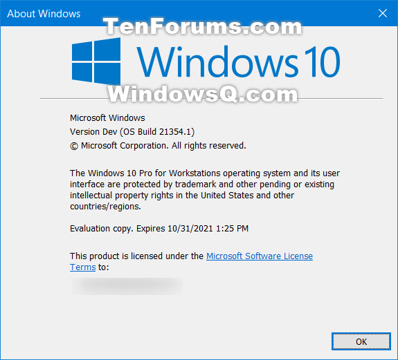 Windows 10 Insider Preview Dev Build 21354.1 (co_release) - April 7-winver.png
