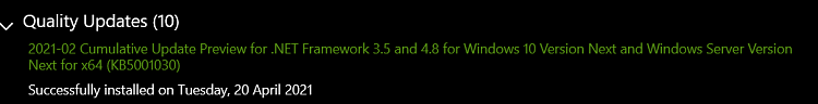 KB5001030 Cumulative Update .NET Framework 3.5 and 4.8 Windows 10 Next-screenshot_1.png