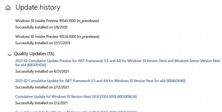 KB5001030 Cumulative Update .NET Framework 3.5 and 4.8 Windows 10 Next-image.png