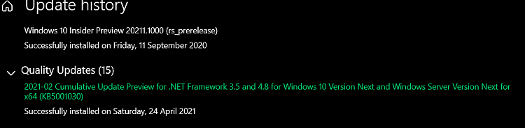 KB5003402 Windows 10 Insider Preview Dev Build 21364.1011 - April 28-screenshot_1.png