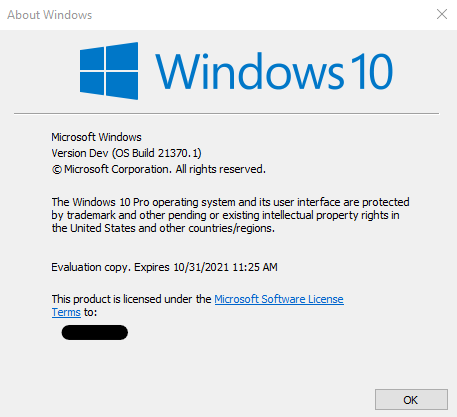 Windows 10 Insider Preview Dev Build 21370.1 (co_release) - April 29-image.png