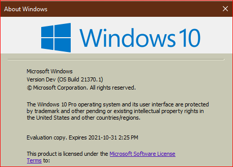 Windows 10 Insider Preview Dev Build 21370.1 (co_release) - April 29-insider-preview-21370.1.png
