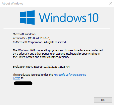 Windows 10 Insider Preview Dev Build 21376.1 (co_release) - May 6-image.png