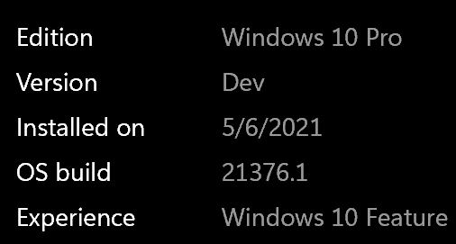 Windows 10 Insider Preview Dev Build 21376.1 (co_release) - May 6-376.jpg