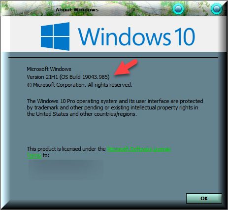 KB5003173 Windows 10 Insider Beta 19043.985 21H1 and RP 19042.985 20H2-winver-after-installing-kb5003173.png