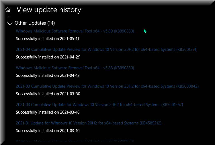 KB4601554 Cumulative Update .NET Framework 3.5 and 4.8 for Windows 10-other-updates-update-history.png