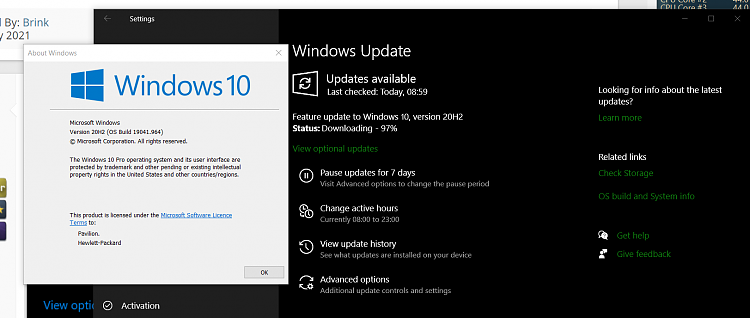 How to get the Windows 10 May 2021 Update version 21H1-screenshot_7.png