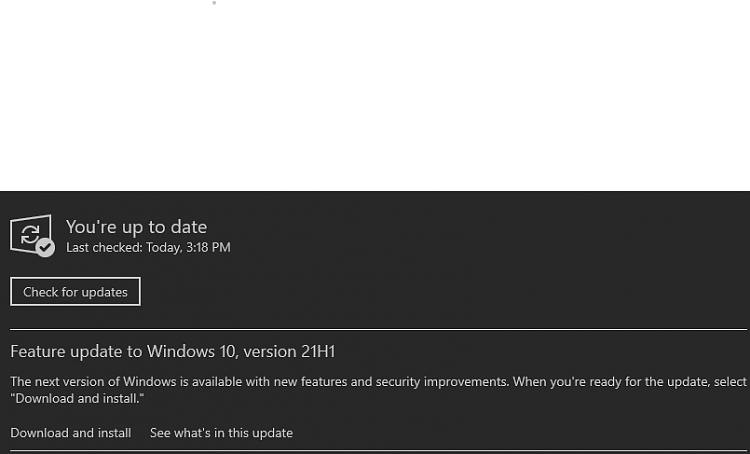 How to get the Windows 10 May 2021 Update version 21H1-screenshot-2021-05-18-152052.png