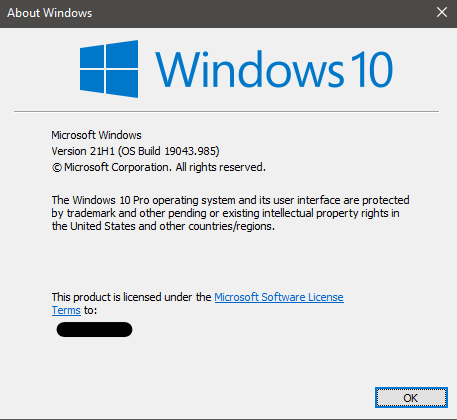 How to get the Windows 10 May 2021 Update version 21H1-image.png