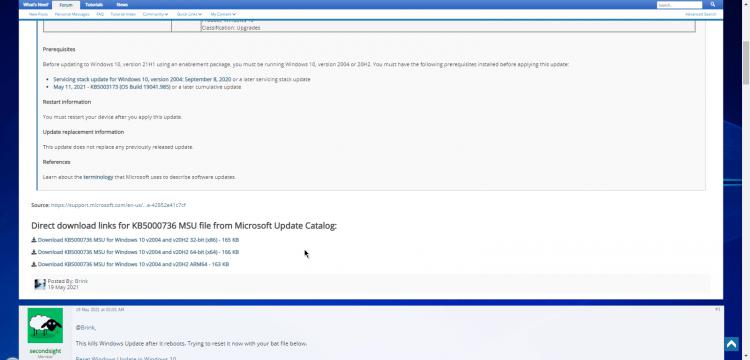 How to get the Windows 10 May 2021 Update version 21H1-dc9uxqhfco.jpg