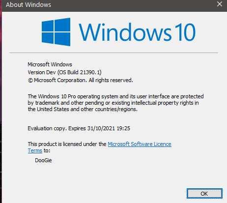 KB5004123 CU Windows 10 Insider Preview Dev Build 21390.2025 - June 14-390.png