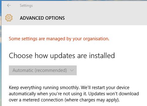 Windows 10 Adoption Already Slowing Down-capture-100.jpg