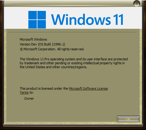 Introducing Windows 11-000510.png