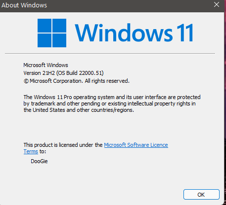 Windows 11 Insider Preview Dev 10.0.22000.51 (co_release) - June 28-win11.png