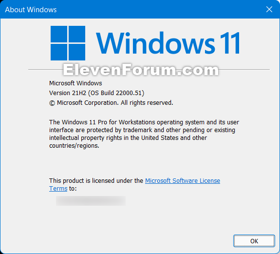 Windows 11 Insider Preview Dev 10.0.22000.51 (co_release) - June 28-w11_21h2.png