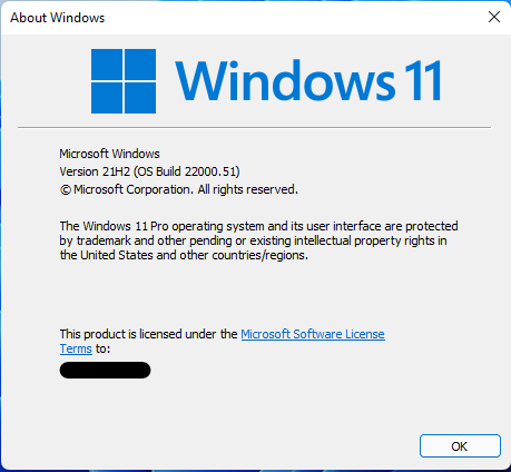 Windows 11 Insider Preview Dev 10.0.22000.51 (co_release) - June 28-image.png