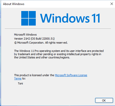 Windows 11 Insider Preview Dev 10.0.22000.51 (co_release) - June 28-image.png